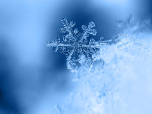 Allerta Neve